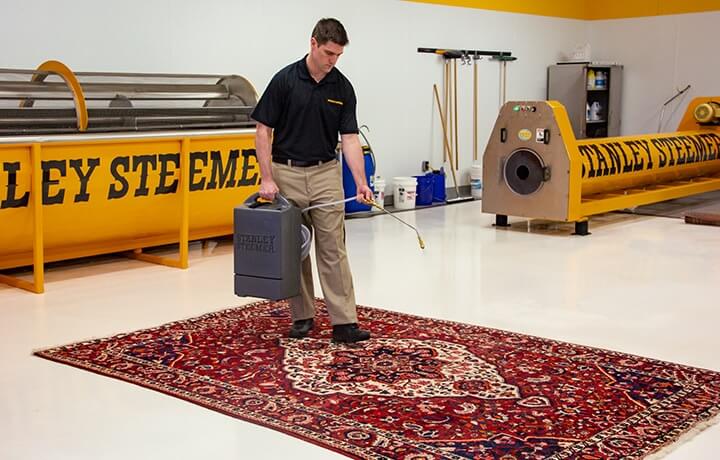 Certified technician cleaning an area rug